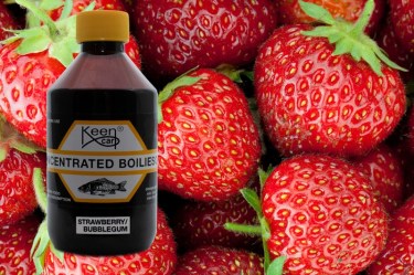 Strawberry/Bubblegum